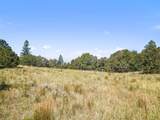 TBD Mosca Pass Rd - Photo 29