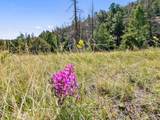 TBD Mosca Pass Rd - Photo 30
