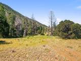 TBD Mosca Pass Rd - Photo 31