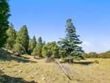 TBD Mosca Pass Rd - Photo 32