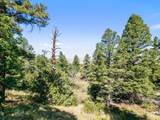 TBD Mosca Pass Rd - Photo 34