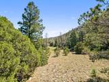 TBD Mosca Pass Rd - Photo 36