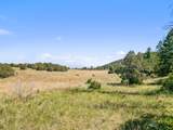 TBD Mosca Pass Rd - Photo 38