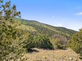TBD Mosca Pass Rd - Photo 40