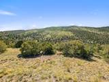 TBD Mosca Pass Rd - Photo 41