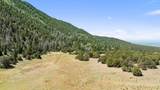 TBD Mosca Pass Rd - Photo 47