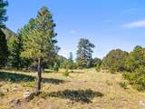 TBD Mosca Pass Rd - Photo 8
