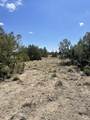 TBD Bear Springs Rd - Photo 12