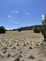 TBD Bear Springs Rd - Photo 13