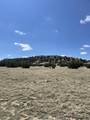 TBD Bear Springs Rd - Photo 15