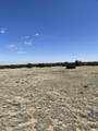 TBD Bear Springs Rd - Photo 16