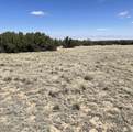 TBD Bear Springs Rd - Photo 17