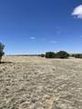 TBD Bear Springs Rd - Photo 19