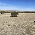 TBD Bear Springs Rd - Photo 2