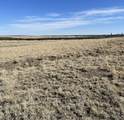 TBD Bear Springs Rd - Photo 4