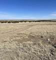 TBD Bear Springs Rd - Photo 5