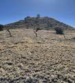 TBD Bear Springs Rd - Photo 6