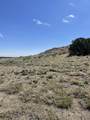 TBD Bear Springs Rd - Photo 7