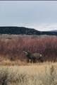 640 County Rd - Photo 38