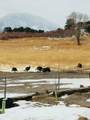 640 County Rd - Photo 40
