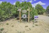 254 Sunset Ct - Photo 58