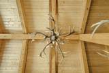 254 Sunset Ct - Photo 8