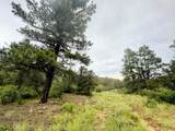 TBD Spanish Highlands #2 - Photo 14