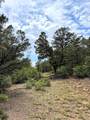 TBD Spanish Highlands #2 - Photo 19
