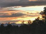 23142 County Rd 30.1 - Photo 30