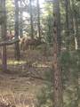 23142 County Rd 30.1 - Photo 32
