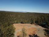 TBD Coyote Track Trl - Photo 11