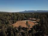 TBD Coyote Track Trl - Photo 14