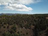 TBD Coyote Track Trl - Photo 15