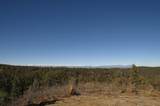 TBD Coyote Track Trl - Photo 17