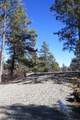 TBD Coyote Track Trl - Photo 20