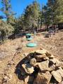 TBD Coyote Track Trl - Photo 25