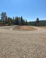 TBD Coyote Track Trl - Photo 5