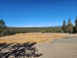 TBD Coyote Track Trl - Photo 6