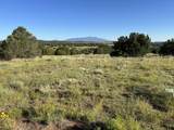 Tract B City Ranch Properties - Photo 27
