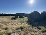 Tract B City Ranch Properties - Photo 28