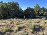 Tract B City Ranch Properties - Photo 29