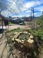 210 Beech St - Photo 4