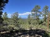 14200 County Rd 28.8 - Photo 11
