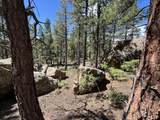 14200 County Rd 28.8 - Photo 16