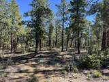 14200 County Rd 28.8 - Photo 17
