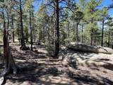 14200 County Rd 28.8 - Photo 20