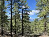14200 County Rd 28.8 - Photo 21
