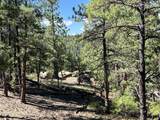 14200 County Rd 28.8 - Photo 22