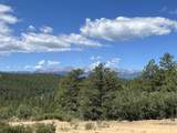 14200 County Rd 28.8 - Photo 27