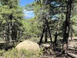 14200 County Rd 28.8 - Photo 33
